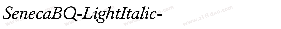 SenecaBQ-LightItalic字体转换