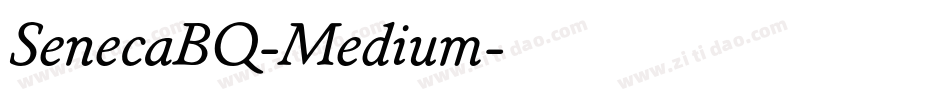 SenecaBQ-Medium字体转换