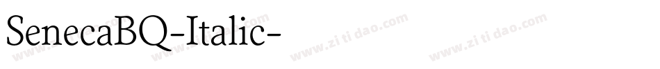SenecaBQ-Italic字体转换
