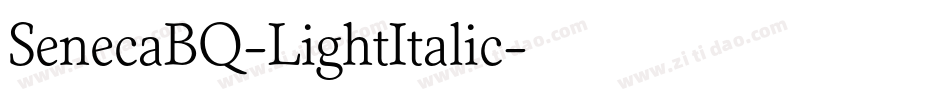 SenecaBQ-LightItalic字体转换