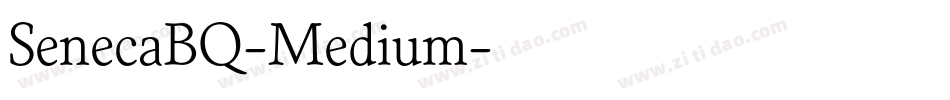 SenecaBQ-Medium字体转换