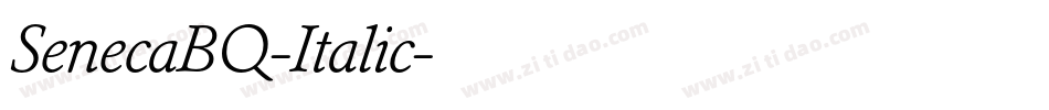 SenecaBQ-Italic字体转换