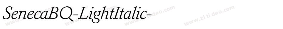 SenecaBQ-LightItalic字体转换