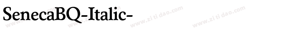 SenecaBQ-Italic字体转换