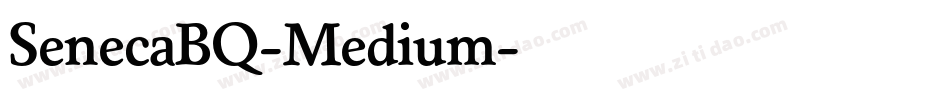 SenecaBQ-Medium字体转换
