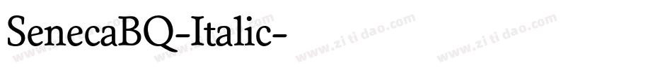 SenecaBQ-Italic字体转换