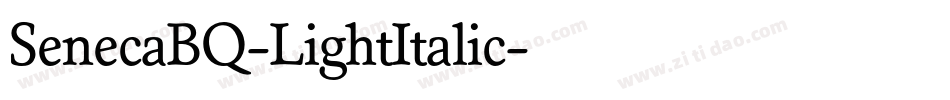 SenecaBQ-LightItalic字体转换