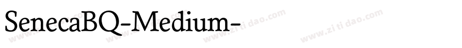 SenecaBQ-Medium字体转换