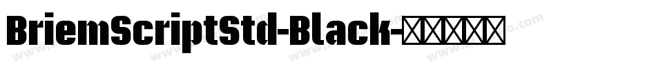 BriemScriptStd-Black字体转换
