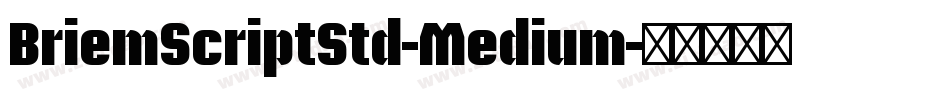 BriemScriptStd-Medium字体转换
