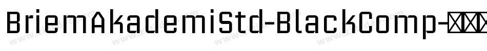 BriemAkademiStd-BlackComp字体转换