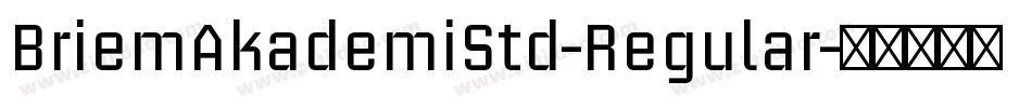 BriemAkademiStd-Regular字体转换