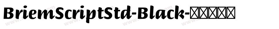 BriemScriptStd-Black字体转换