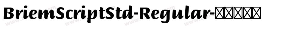 BriemScriptStd-Regular字体转换