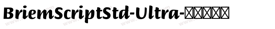 BriemScriptStd-Ultra字体转换