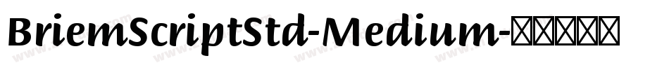 BriemScriptStd-Medium字体转换