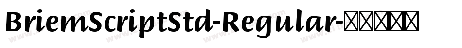 BriemScriptStd-Regular字体转换