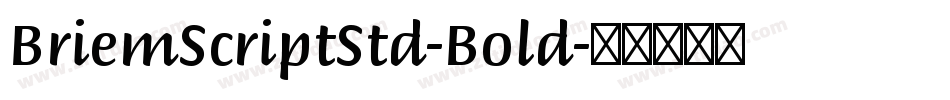 BriemScriptStd-Bold字体转换