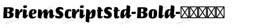 BriemScriptStd-Bold字体转换