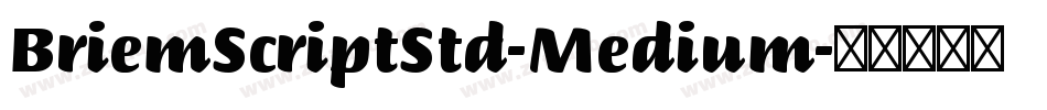 BriemScriptStd-Medium字体转换