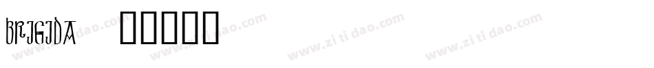 brigida字体转换