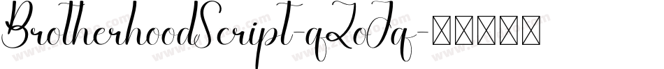 BrotherhoodScript-qZoJq字体转换