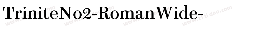 TriniteNo2-RomanWide字体转换