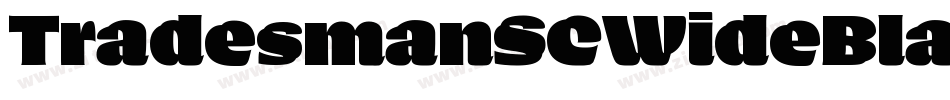 TradesmanSCWideBlack字体转换