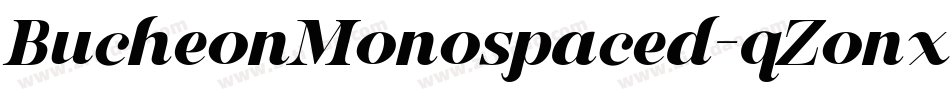 BucheonMonospaced-qZonx字体转换