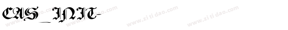 CAS_INIT字体转换