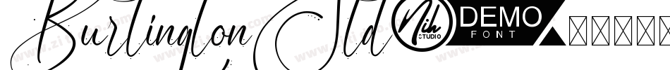 BurlingtonStd字体转换