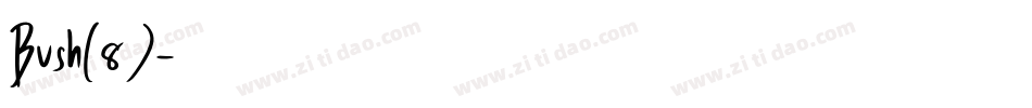 Bush(8)字体转换