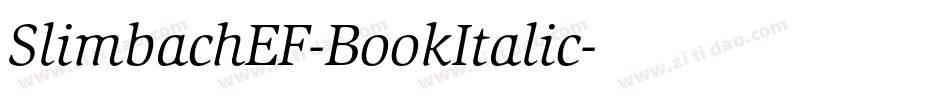 SlimbachEF-BookItalic字体转换