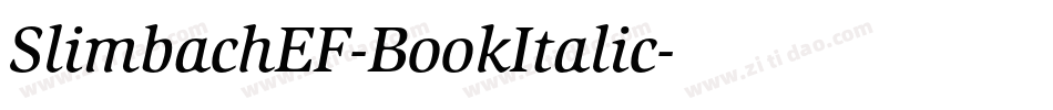 SlimbachEF-BookItalic字体转换