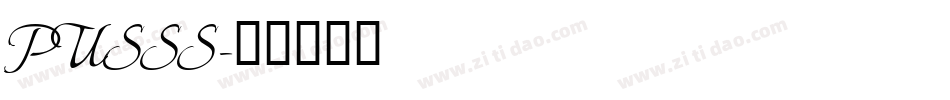 PUSSS字体转换
