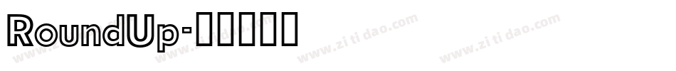 RoundUp字体转换