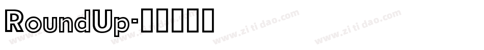 RoundUp字体转换