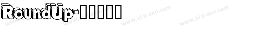 RoundUp字体转换