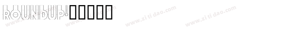 RoundUp字体转换