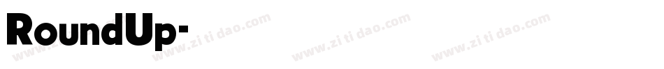 RoundUp字体转换