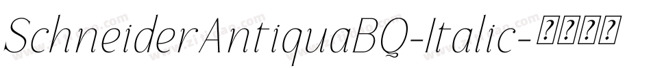 SchneiderAntiquaBQ-Italic字体转换