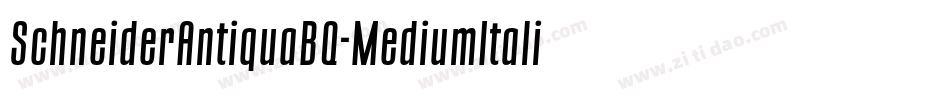 SchneiderAntiquaBQ-MediumItalic字体转换