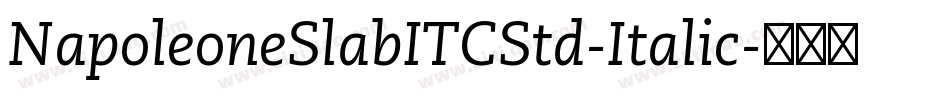 NapoleoneSlabITCStd-Italic字体转换