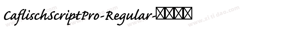 CaflischScriptPro-Regular字体转换