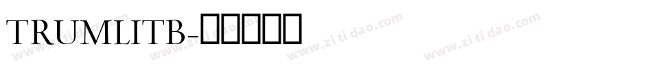 TRUMLITB字体转换
