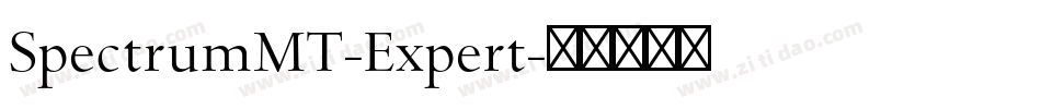SpectrumMT-Expert字体转换