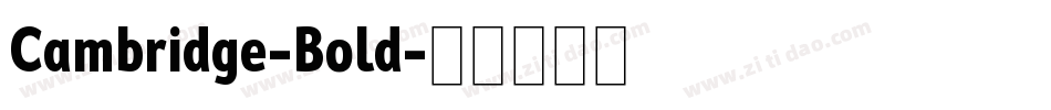Cambridge-Bold字体转换