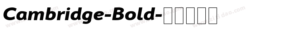 Cambridge-Bold字体转换