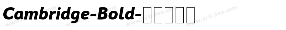 Cambridge-Bold字体转换