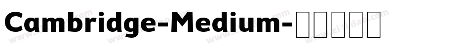 Cambridge-Medium字体转换